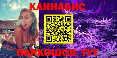 jwh Кингисепп