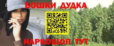 jwh Кингисепп