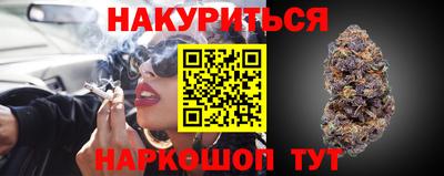 jwh Кингисепп
