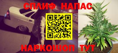 jwh Кингисепп
